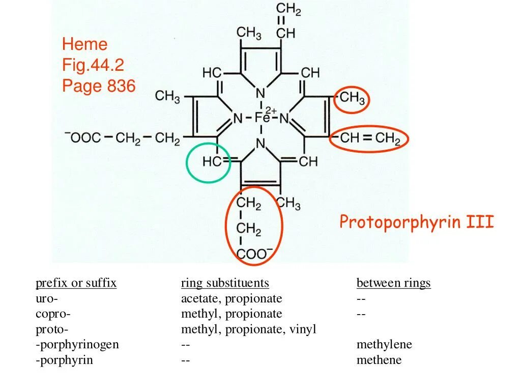 Протопорфирин IX. Heme. Протопорфирин формула.