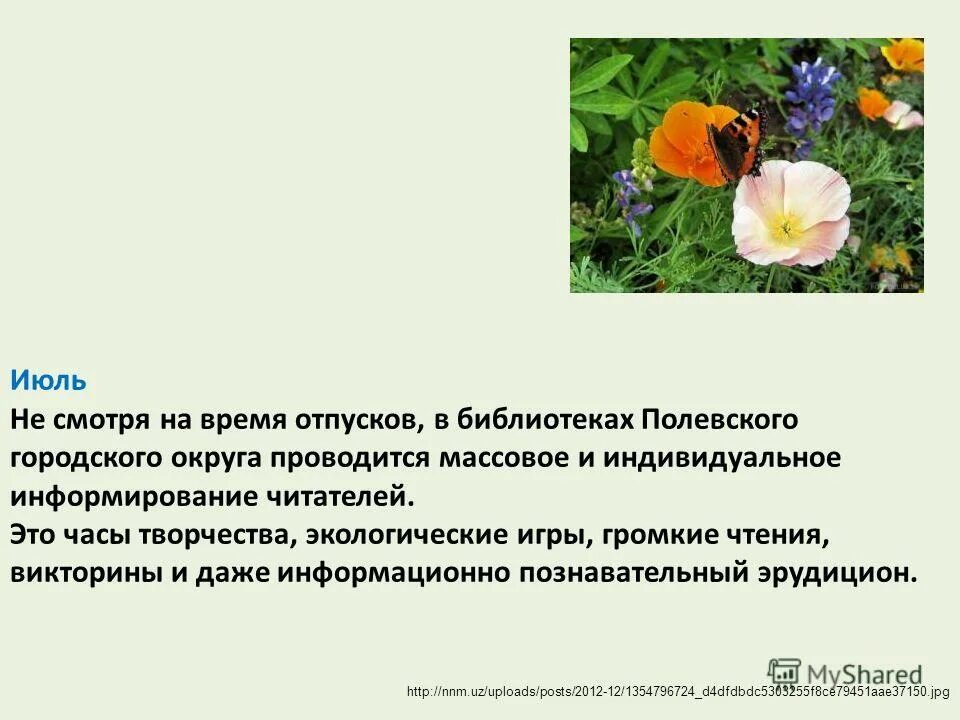 Дифференцированное библиографическое информирование. Вывод по библиотечному обслуживанию. Картотека индивидуального и группового информирования в библиотеке. Массовое библиографическое информирование. Массовое библиографическое информирование.