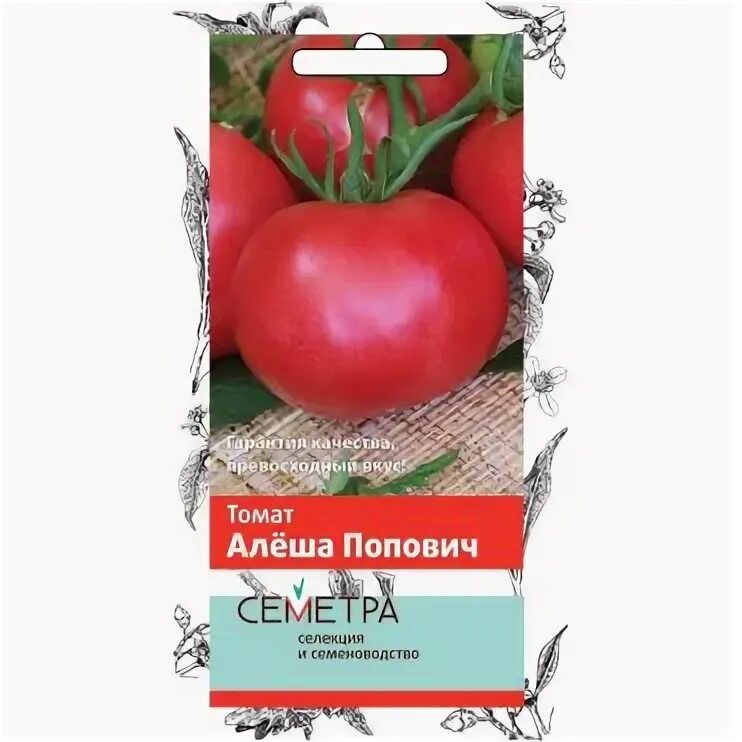 Томат алёша попович характеристика. Томат алеша попович отзывы. Томат алеша попович отзывы фото. Алеша попович сорт помидор. Алеша попович сорт помидор.