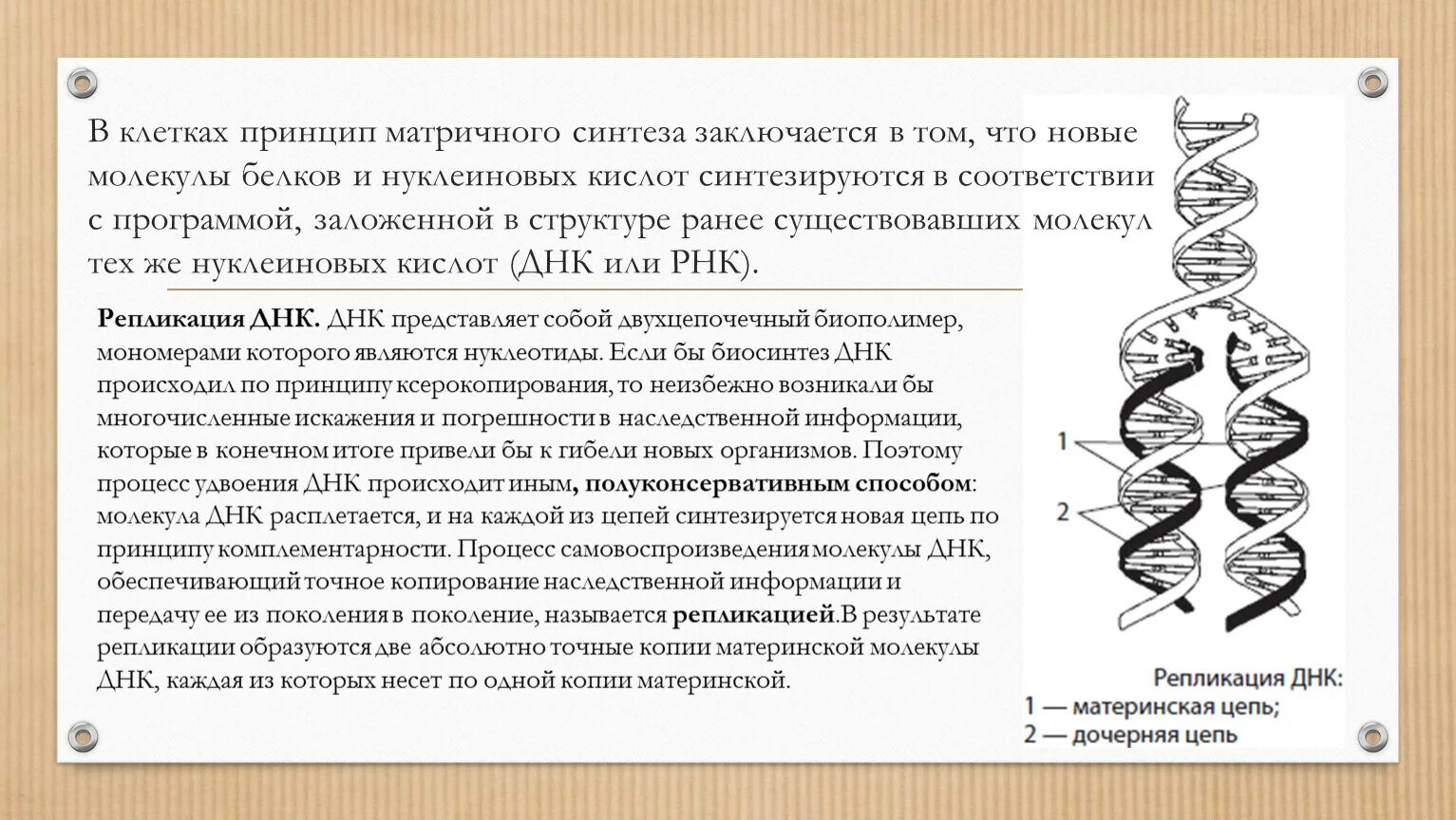 В результате реакций матричного синтеза синтезируются молекулы. Реакции матричного синтеза схема. Принцип матричного синтеза. Матричный Синтез ДНК. Процесс матричного синтеза ДНК.