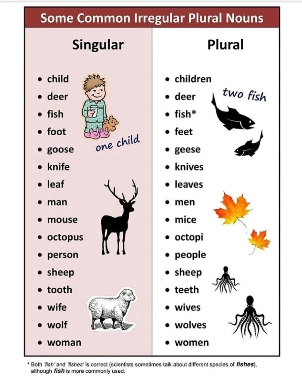 Child goose man foot mouse