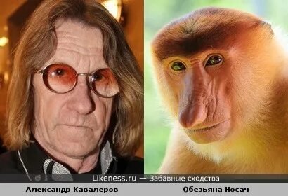 Люди похожи на предметы
