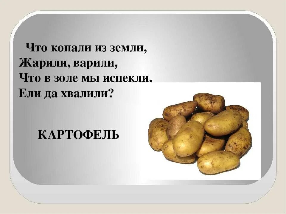 Включи про картошку. Загадка про картошку для детей. Загадка про картофель. Загадка про картофель для детей. Стих про картошку.