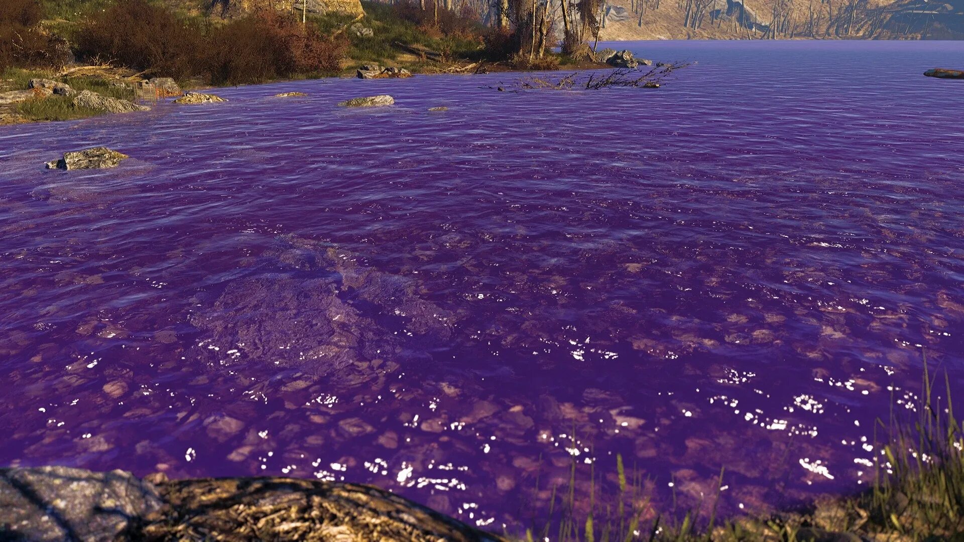 Фиолетовая вода. Гладь воды с фиолетовыми бликами. Фиолетовая вода в реке. Фиолетовая вода острова.