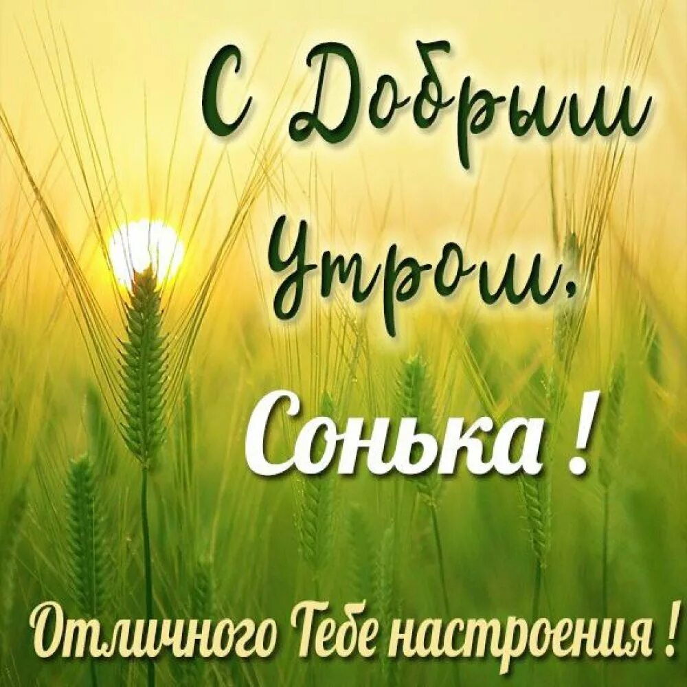 Красивая картинка доброе утро леночка. Доброе утро леночка. доброе утро леночка открытки. пожелания с добрым утром леночке. с добрым утром еленочка.