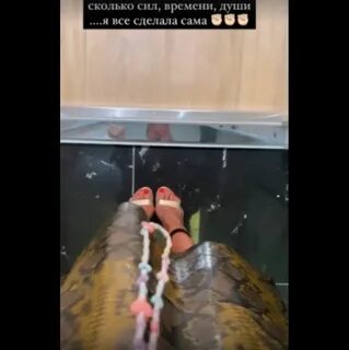 Обыск в квартире бузовой