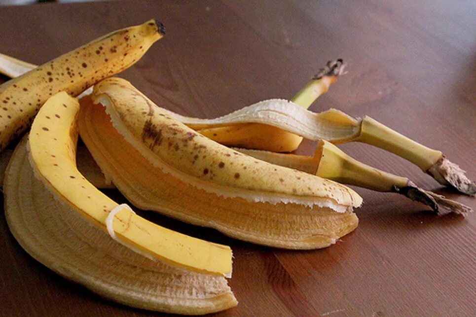 Банановая кожура. Шкурки от бананов. Кожура от банана. Банановая корка.