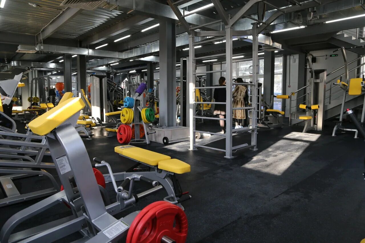 зверь хабаровск тренажерный зал. тренажерные залы хабаровск. тренажерный зал лион березовский. тренажерный зал хабаровск. тренажерные залы хабаровск.