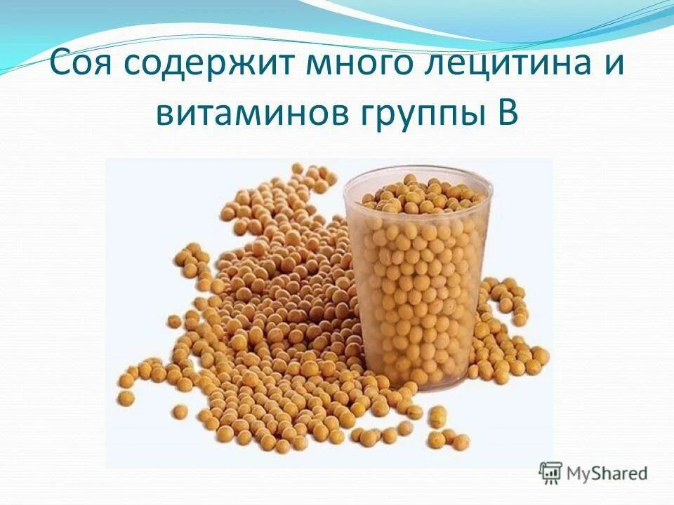 Соя содержит. Соя содержит. Калории бобовых. Соя крупа. Соя содержит.