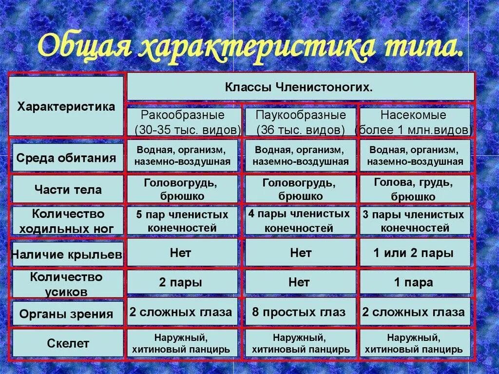 Членистоногие какой тип. Биология 7 класс таблица ракообразные паукообразные насекомые. Биология 7 класс Тип Членистоногие класс ракообразные таблица. Тип Членистоногие класс ракообразные таблица. Таблица по биологии 7 класс Членистоногие ракообразные.