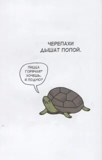Умеют ли черепахи дышать попой