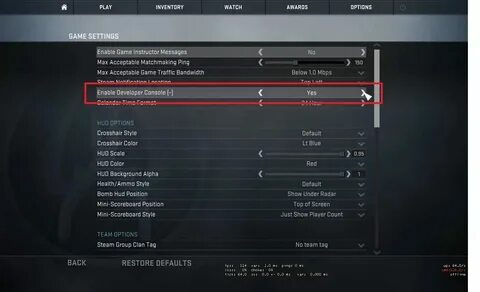 Cs go 2 консоль