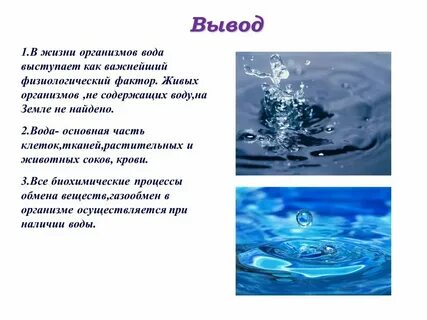 Как произошло слово вода