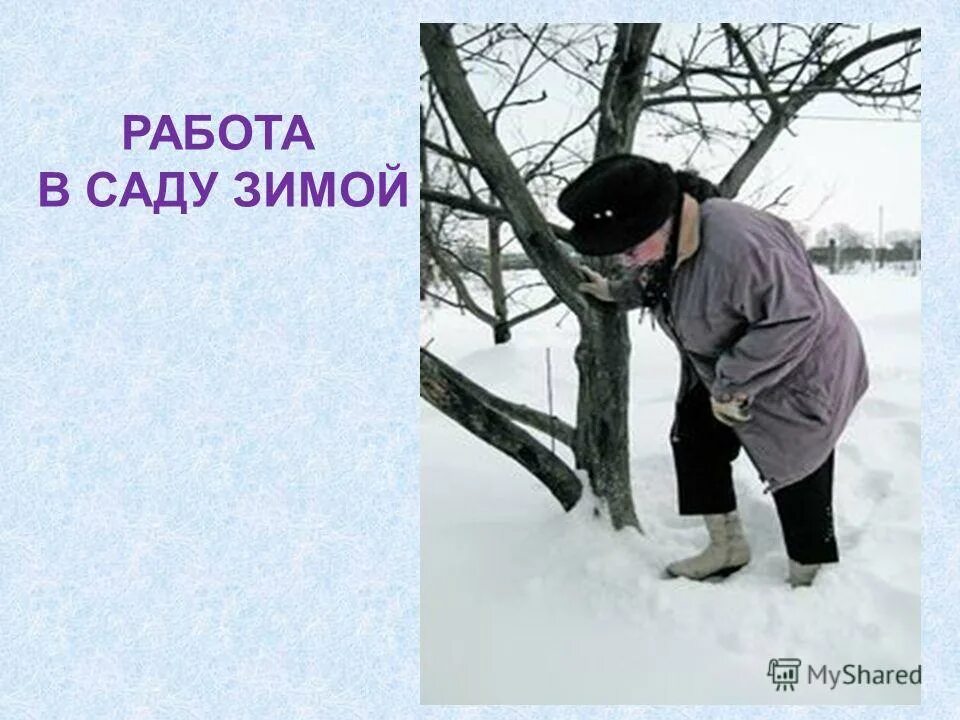 Зачем человеку зима
