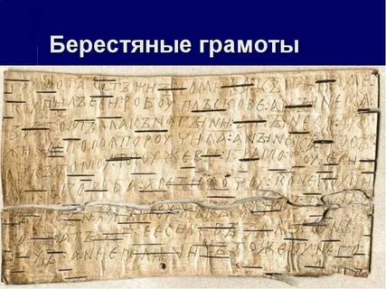 Буквы на бересте процарапаны тщательно