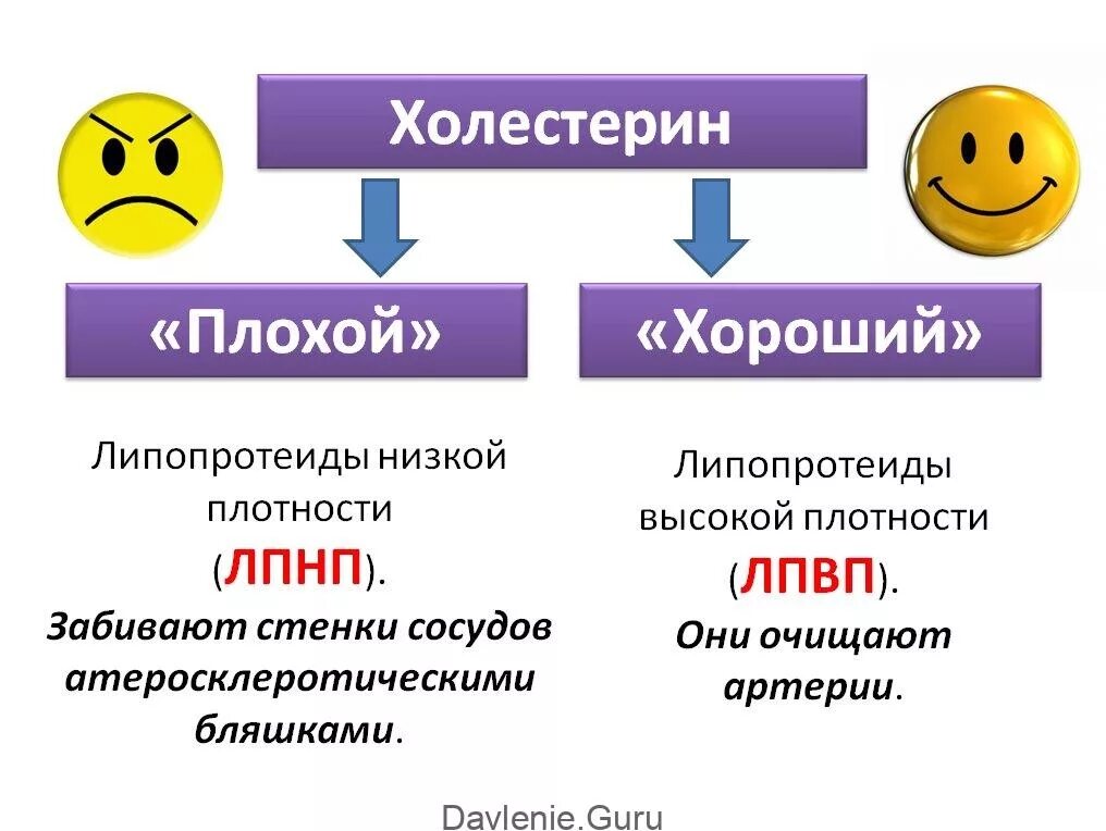 Отличать хорошее. Хороший холестерин. Плохой холестерин. Липопротеиды высокой и низкой плотности. Хорошие и плохие липопротеиды.