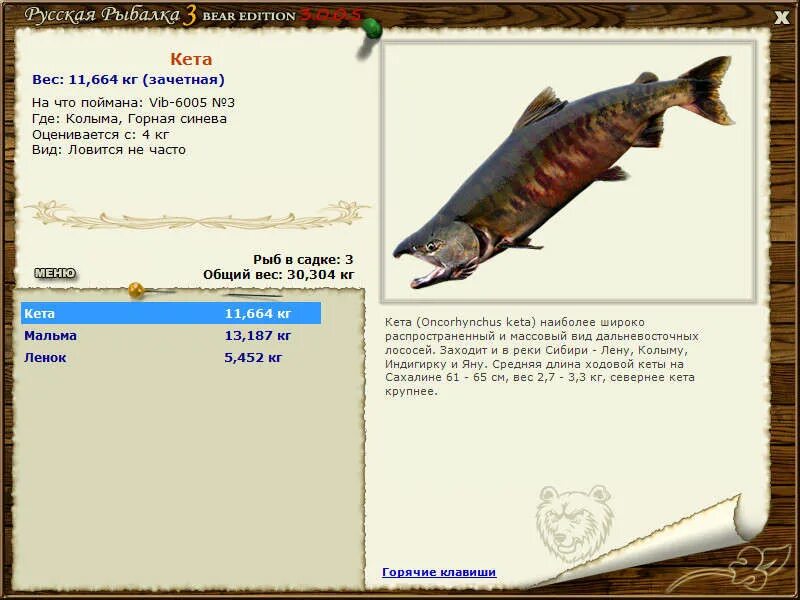 рр 3. кета размер. кета максимальный вес. русская рыбалка 3 7 4 амур кета. русская рыбалка 3 6 амур кета.
