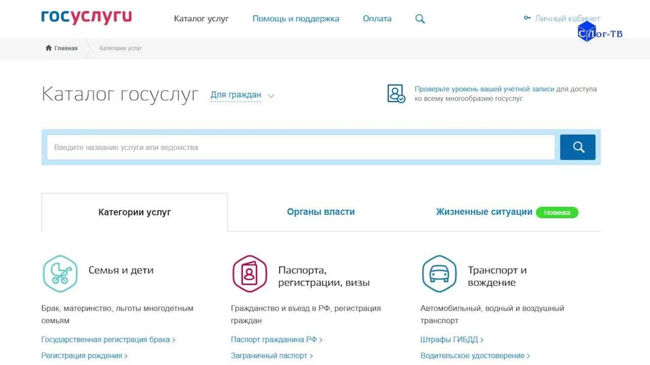 Жд билеты отображаются на госуслугах. Получение охотничьего билета через госуслуги. Жд билеты отображаются на госуслугах. Как добавить транспортное средство в госуслуги. Получение охотничьего билета через госуслуги.