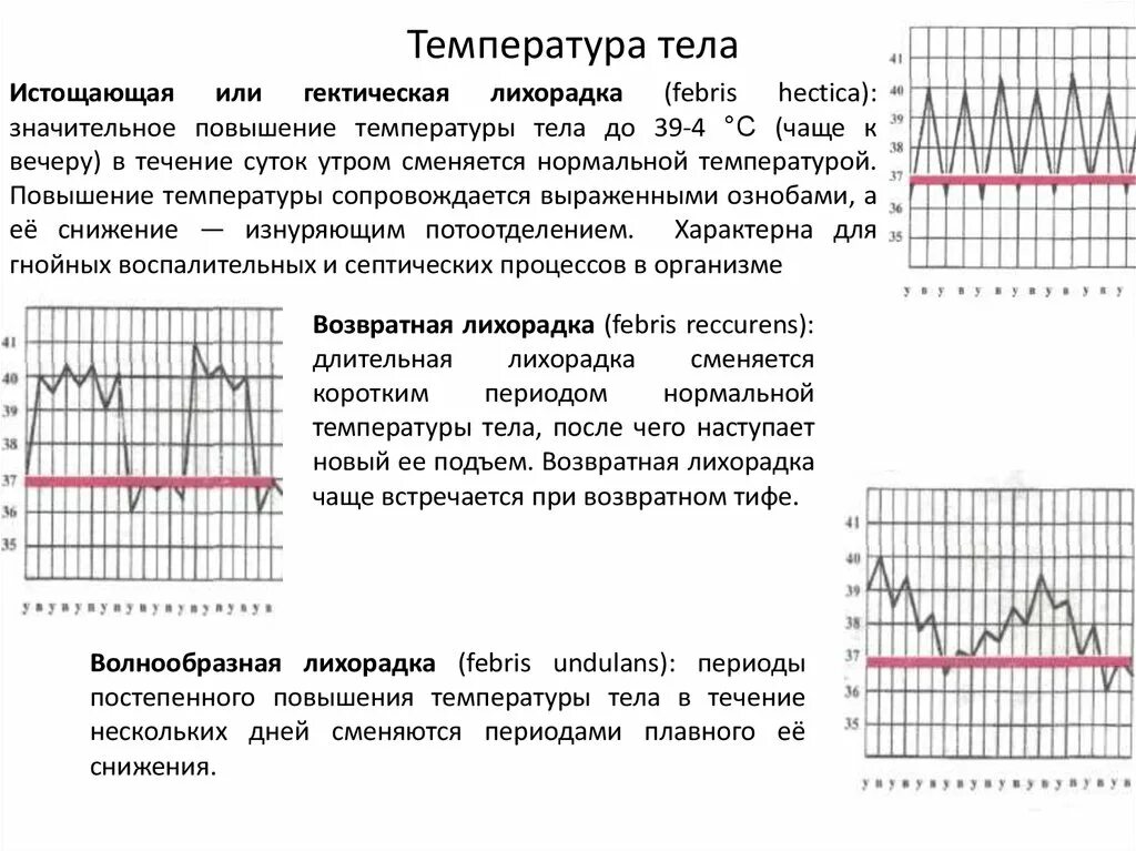 Температура 37.2 у взрослого причина. Гектическая лихорадка (Febris hectica):. Причины повышения температуры. Повышение температуры тела. Почему температура поднимаете.