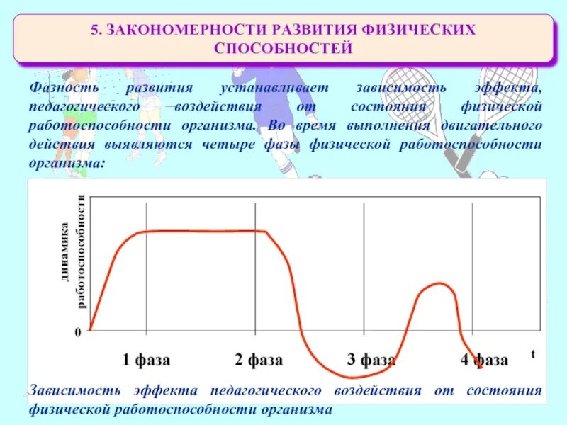 Закономерность развития физических качеств. Закономерности развития физических способностей. график развития навыков человека. фазность. фазность тока для детей.