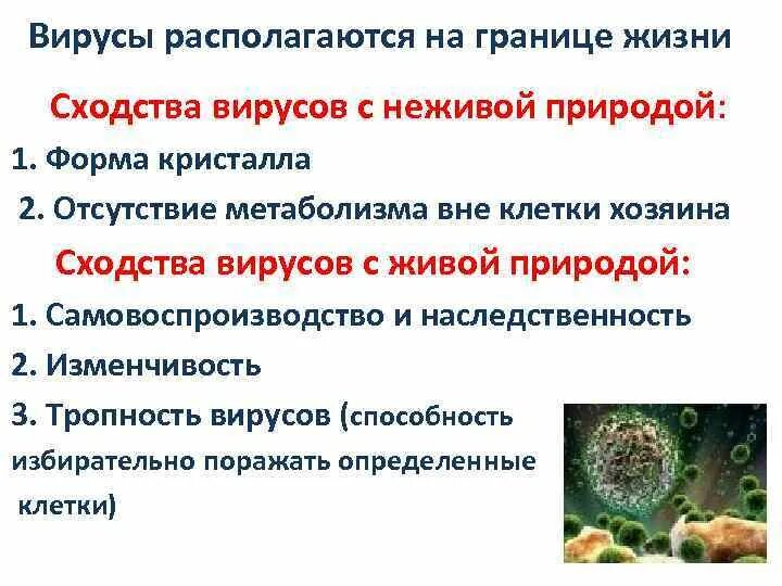 Сходство вирусов с неживой природой. Сходство вирусов с живой природой. Отличие вирусов от живых организмов. Черты сходства вирусов с неживой природой.