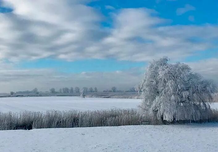 Чернильное небо белый снег. Белый снег россии. белый снег б. сноп &quot;белый снег&quot;. идут белые снеги. есенин.