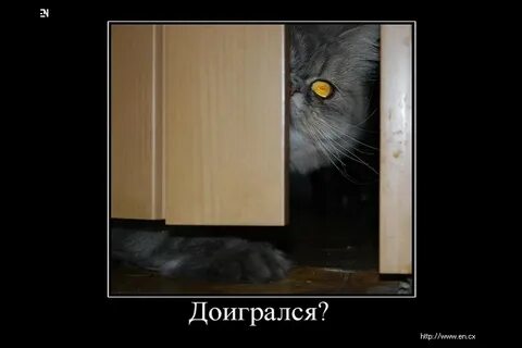 Похоже я доигрался