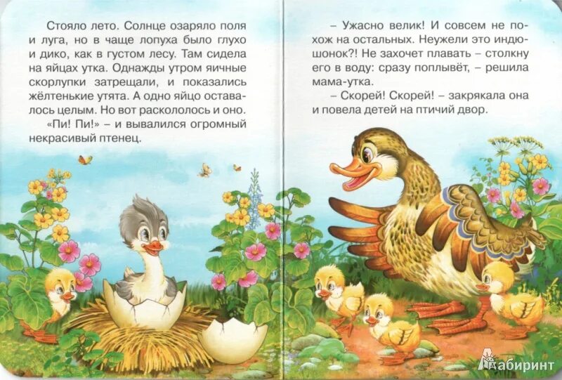 Гадкий утенок. Книга про утят. Сказка про утенка. Сказки про уток.