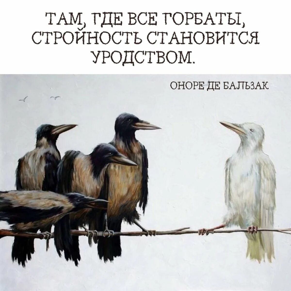 Изображение может незначительно отличаться