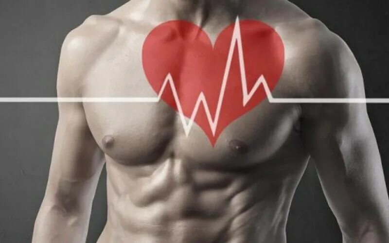 Тренированность сердца. Сердце спортсмена. Сердце спортсмена и обычного. Тренировка сердца.