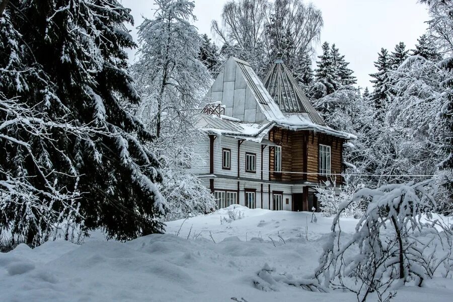 Усадьба архангельское 2022. Музей усадьба кусково зима. Усадьба пенаты зимой. Усадьба брянчаниновых вологда зимой. Царицыно музей-заповедник зимой.