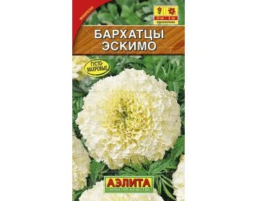 Бархатцы эскимо описание