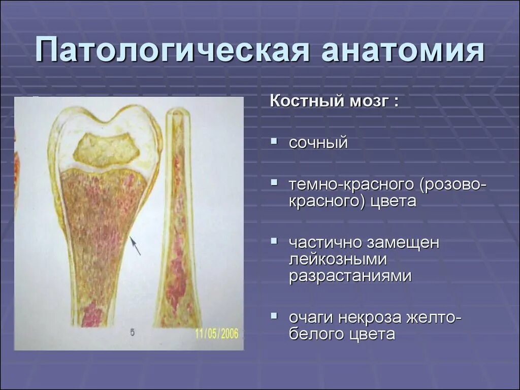 Патанат