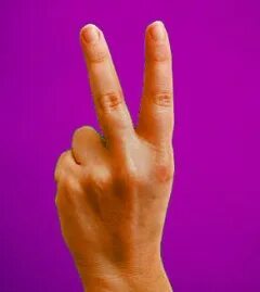 Fingered 2
