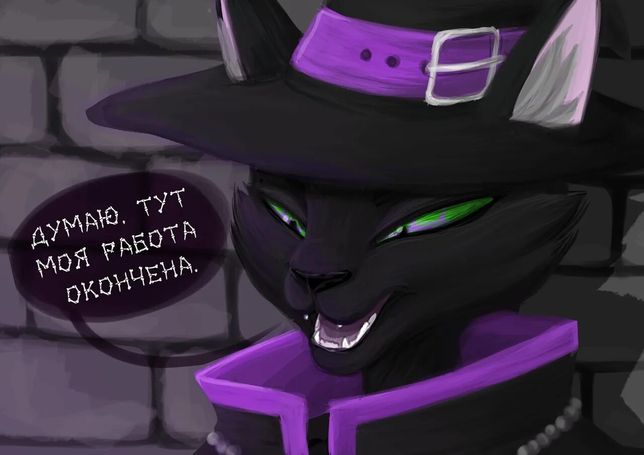 Cats fandom