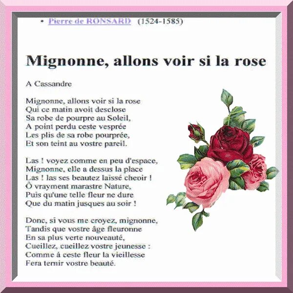 Ронсар стихи короткие. Пьер де Ронсар стих про розу. Ронсар стихи о розах. La Rose - перевод.