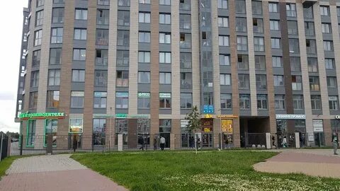 Просвещения 15 санкт петербург