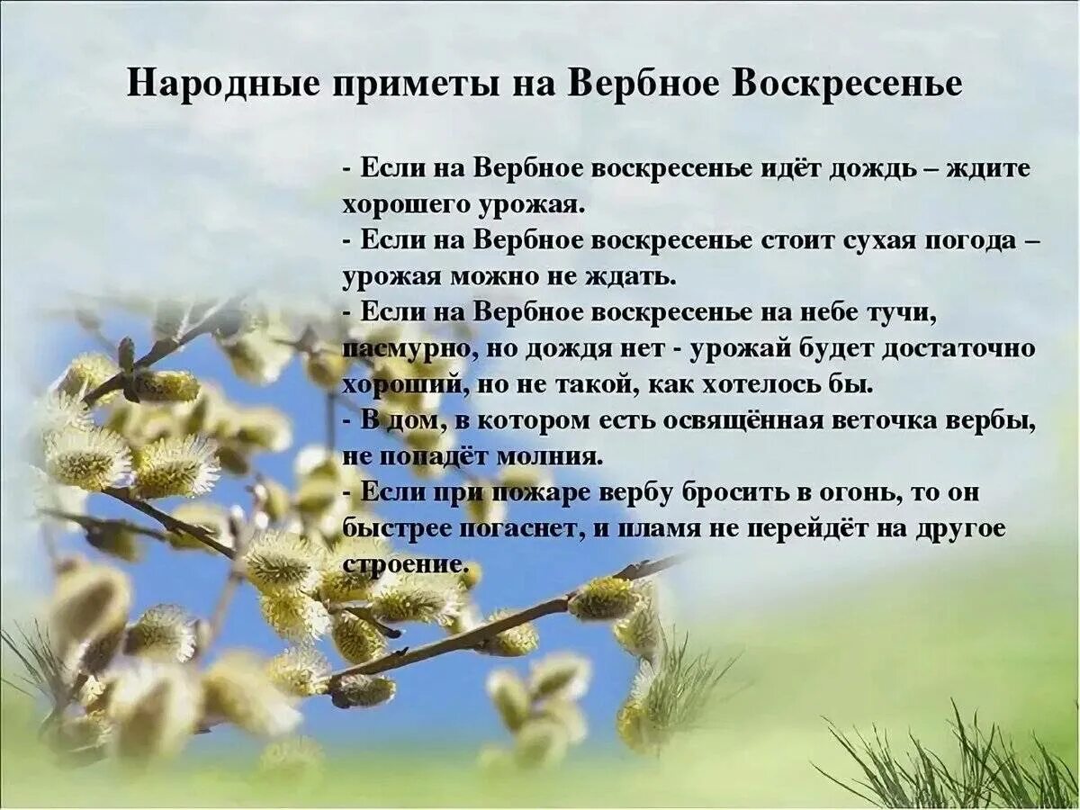 Что надо делать в воскресенье. С Вербным воскресеньем. Приметы на Вербное. Ппррмееты на Вербное воскресенье. Вербное воскресенье при.