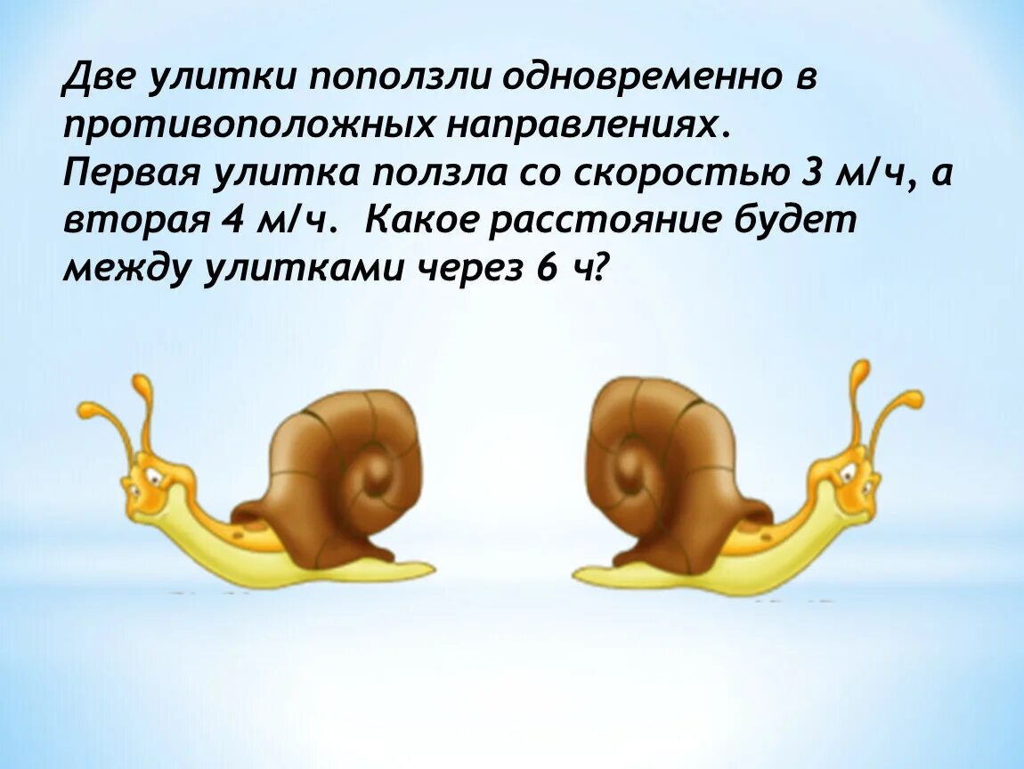 Скорость улитки. Две улитки одновременно. Задача про улитку 2 класс. Задача про улитку