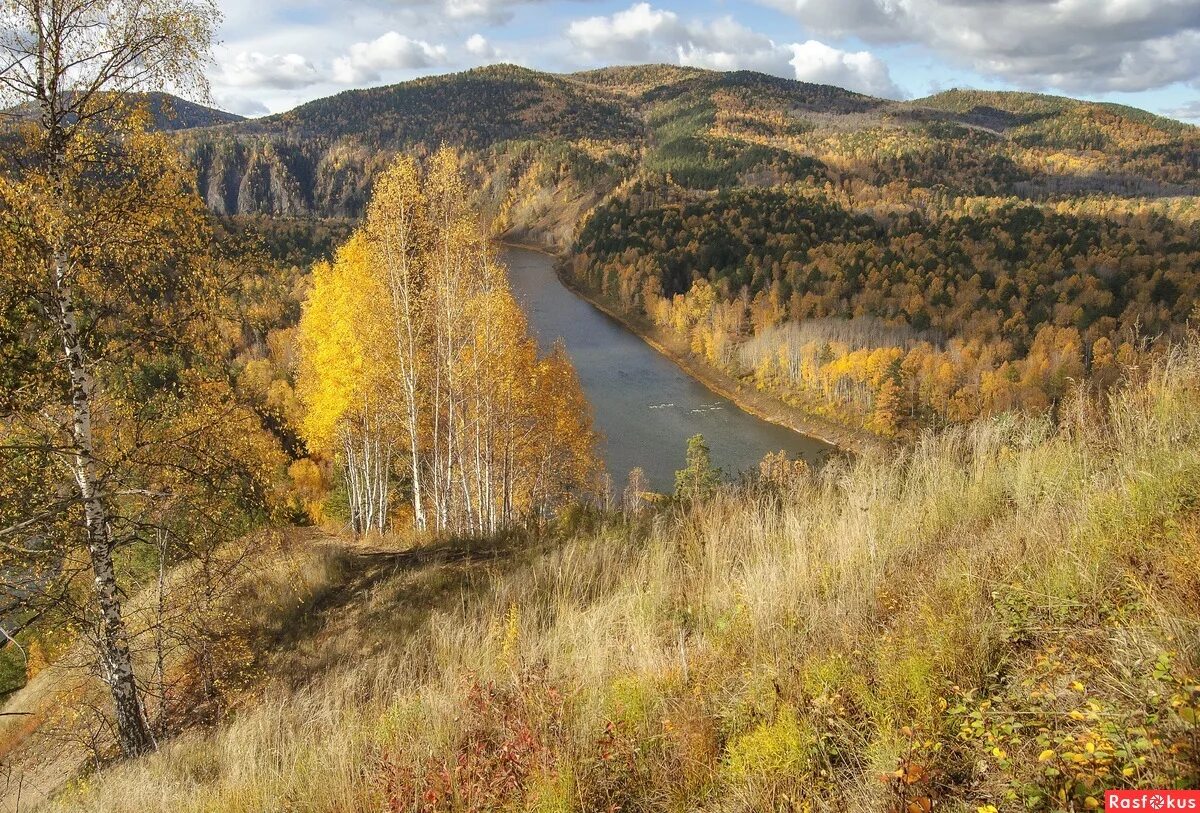 Былым осенью. Река Золотая Красноярский край. Река Енисей Красноярский край. Манская петля Красноярский Золотая осень. Красноярский край природа Енисей.