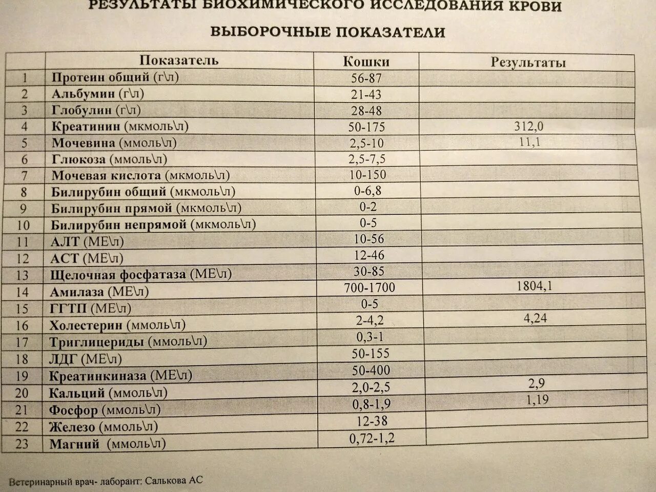 Анализ биохимия расширенная. Анализ крови биохимический общетерапевтический таблица. Биохимический анализ крови общетерапевтический показатели. Общий биохимический анализ крови общетерапевтический норма. Биохимические показатели крови ЛДГ.