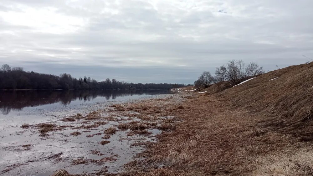 Уровень воды в реке волхов. Р Волхов. Ивановский остров на реке Волхов. Половодье Восток Вологда. Река волховка.