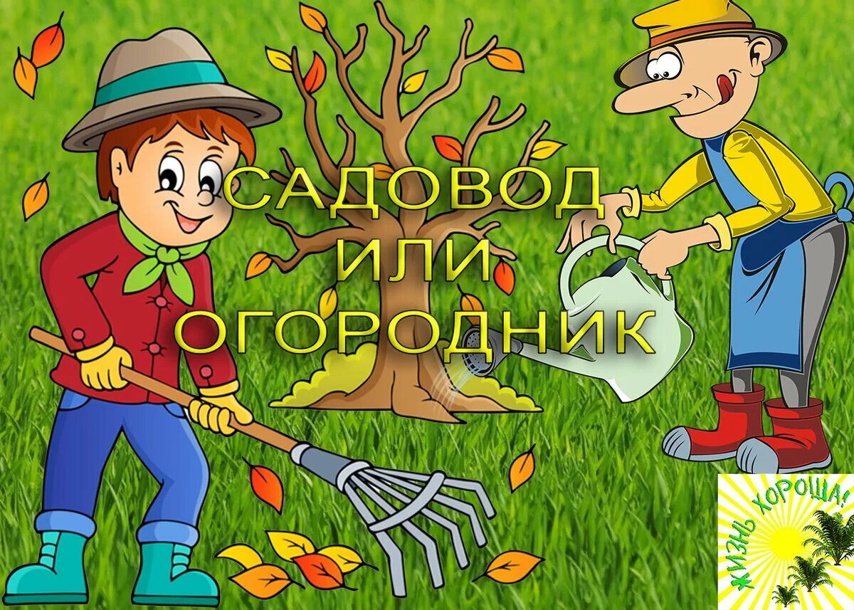 Огородники Носов. Огородники Носов картинки. Огородники Носов рисунок. Гороскоп садовода на 2024 год