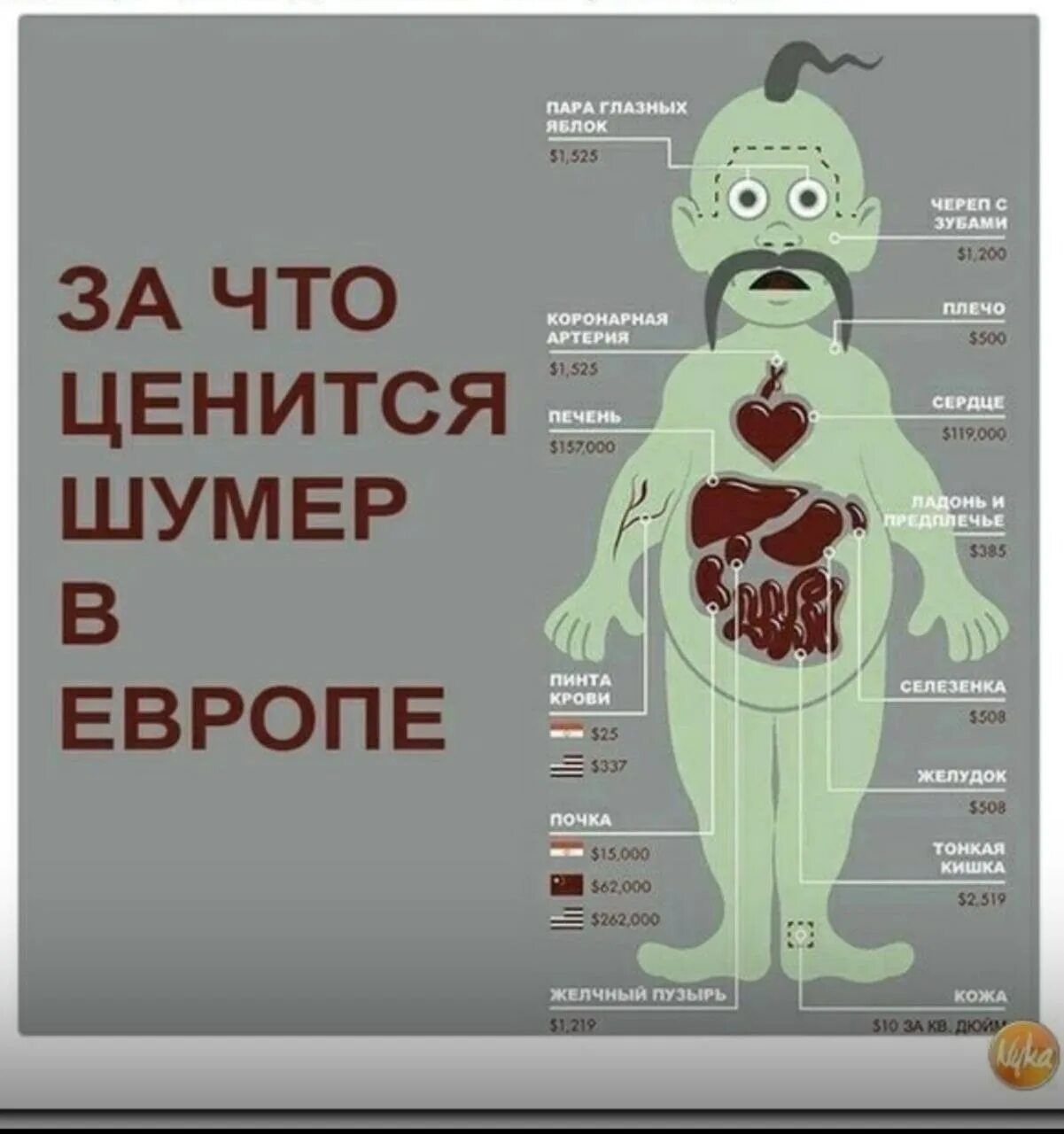 Стоимость органов человека. Стоимость человеческих органов на черном рынке. Колько стоят органы человека.