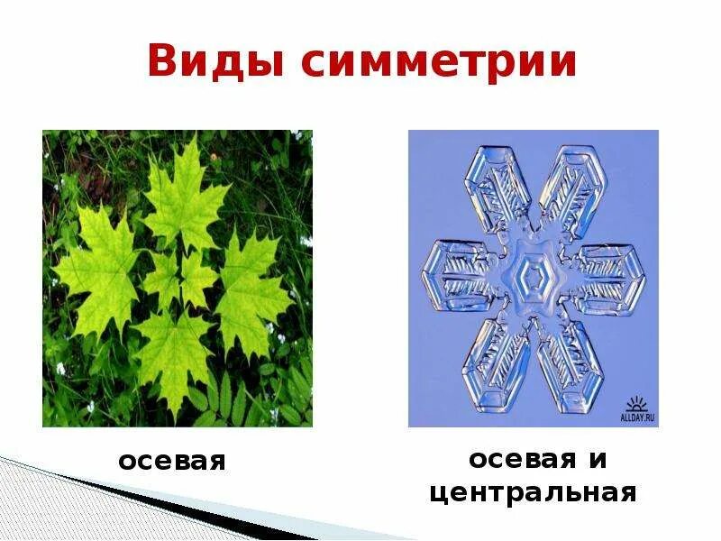 Симметрия виды. Виды центральной симметрии. виды осевой симметрии. виды симметрии осевая центральная. типы осевой симметрии.
