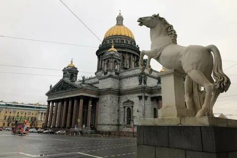 Мк петербург