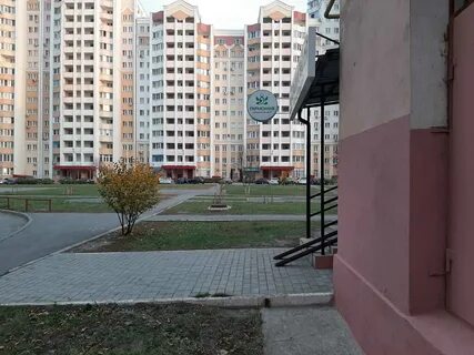 Смородина 11
