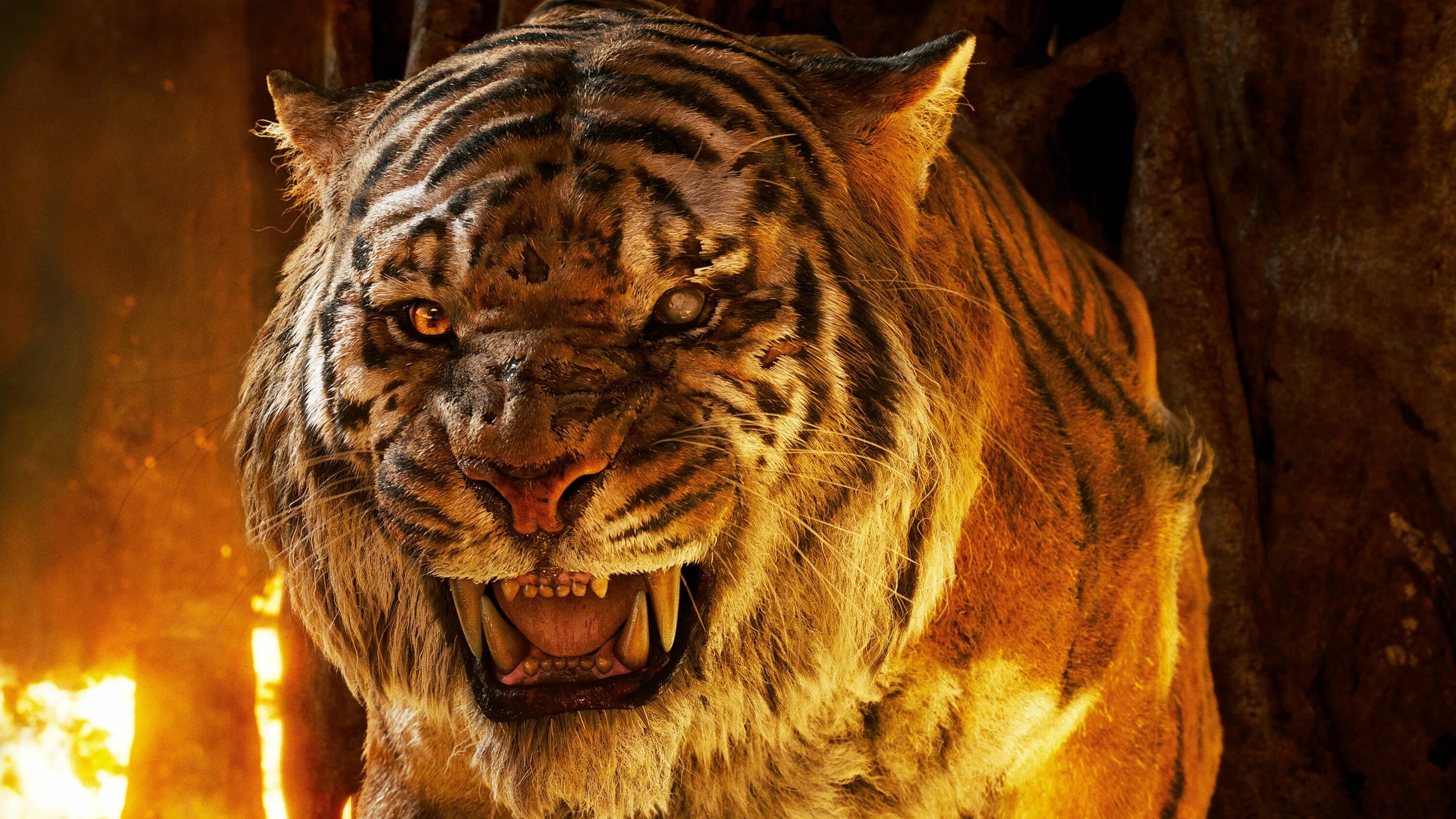 The tiger is large. Книга джунглей Шерхан. Великий тигр 2015. Великий тигр Шерхан. Великий тигр 2.