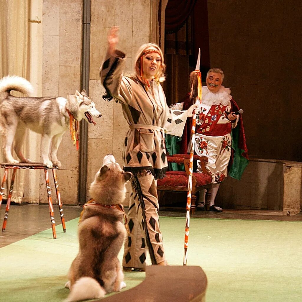 Театр зверей афиша. Театр дурова афиша на январь 2024 года. Театральная афиша. Театр зверей «уголок дедушки дурова». Театр представления дурова.