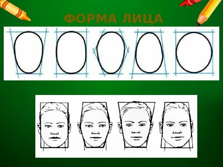 Схема рисования портрета. Пропорции лица изо. Конструкция головы человека и ее пропорции. Пропорции рисования портрета. Портрет человека 4 класс изо презентация